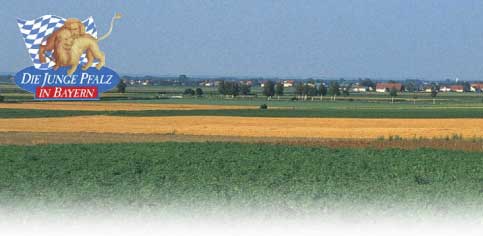 Stadtansicht Monheim